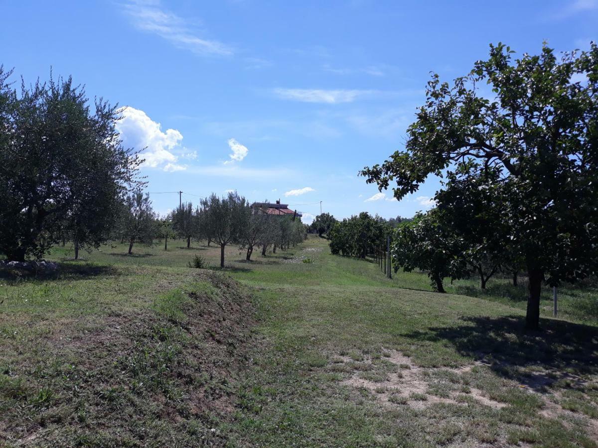 House Barizoni Villa Ankaran Exterior foto