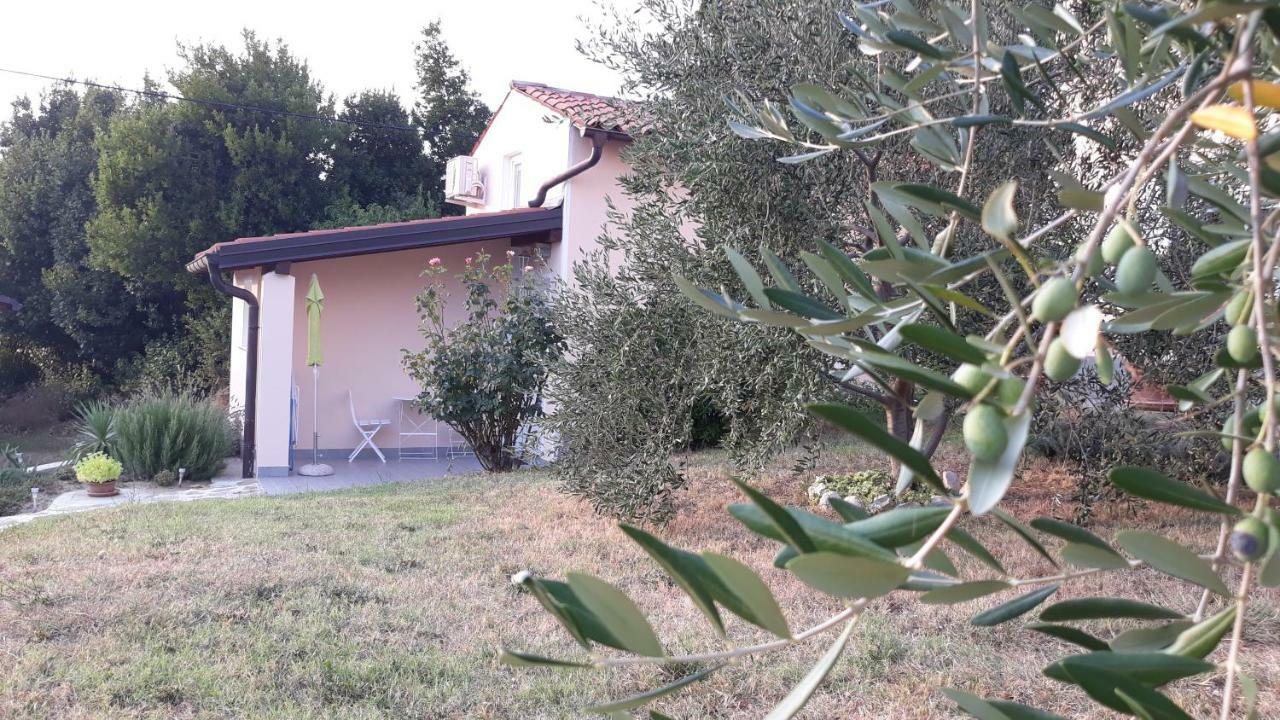 House Barizoni Villa Ankaran Exterior foto