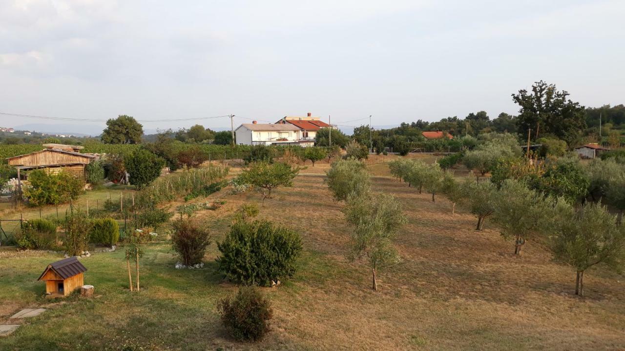 House Barizoni Villa Ankaran Exterior foto